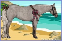 Horse Color:Silver Blue Roan Sabino