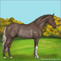 Horse Color:Silver Black Rabicano 