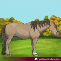 Horse Color:Classic Cream Champagne 