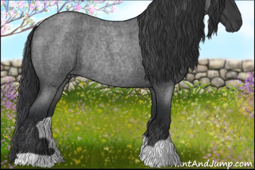 Horse Color:Blue Roan Rabicano