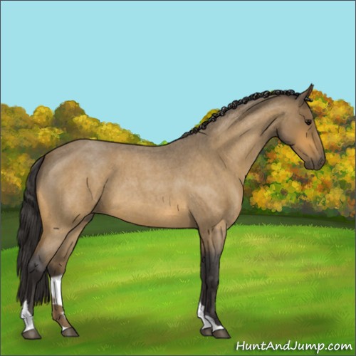 Horse Color:Buckskin Roan Tobiano 