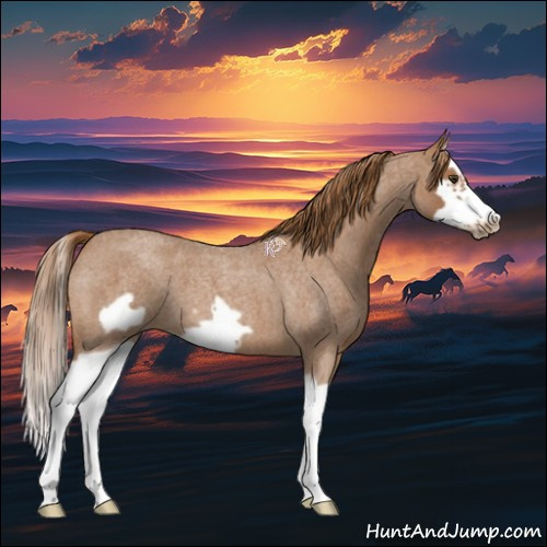 Horse Color:Red Roan Splash Frame 