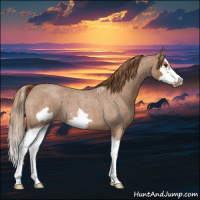 Horse Color:Red Roan Splash Frame 