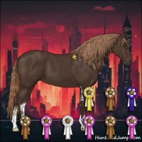 Horse Color:Liver Chestnut Sabino