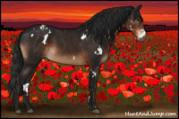 Horse Color:Gray White Spotted Brown Mushroom Varnish Rabicano 