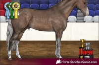 Horse Color:White Spotted Silver Brown Dun 