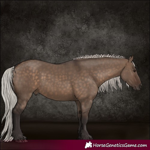 Horse Color:Silver Brown Dun 
