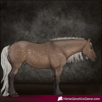 Horse Color:Silver Brown Dun 