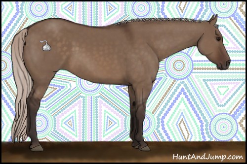 Horse Color:Silver Brown Dun 