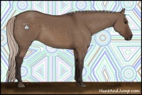 Horse Color:Silver Brown Dun