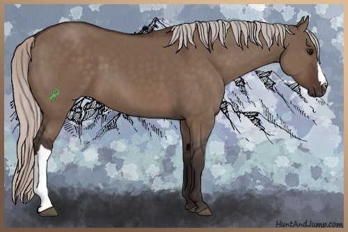 Horse Color:Silver Brown Dun