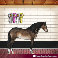 Horse Color:Gray Brown Dun Brindle