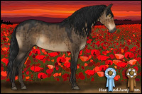 Horse Color:Gray Brown Dun Brindle