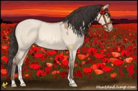 Horse Color:Amber Champagne Roan Dun