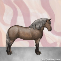 Horse Color:Silver Brown Dun 