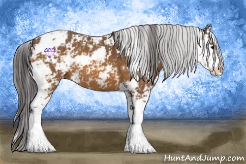 Horse Color:Buckskin Sabino 