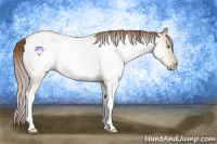 Horse Color:Gray Buckskin Ice Pearl Tobiano 
