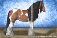 Horse Color:Bay Tobiano 