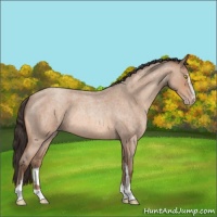 Horse Color:Amber Champagne Roan Sabino 