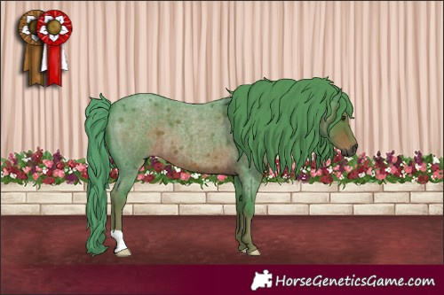 Horse Color:Gray Watercolor Red Roan