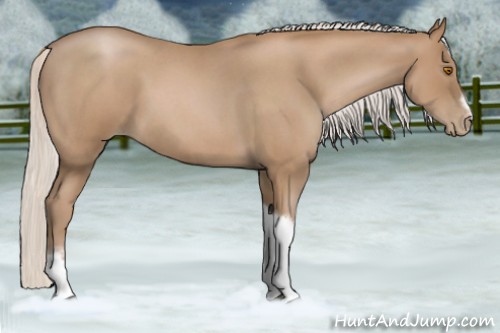 Horse Color:Silver Blue Roan Pearl Tobiano Frame