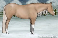 Horse Color:Silver Blue Roan Pearl Tobiano Frame 