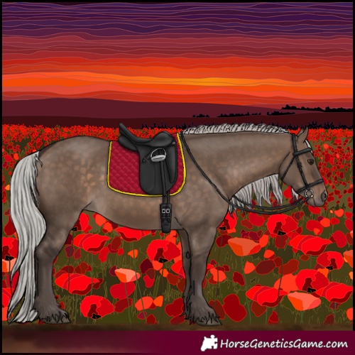 Horse Color:Silver Brown Dun 