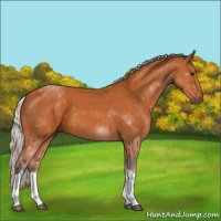 Horse Color:Silver Bay Tobiano 