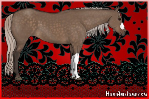 Horse Color:Silver Brown Dun 