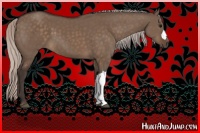 Horse Color:Silver Brown Dun 