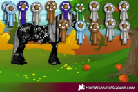 Horse Color:ERROR: UNKNOWN ANOMALY