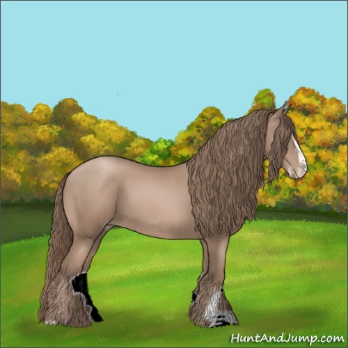 Horse Color:Black Pearl Mushroom Sabino