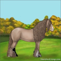 Horse Color:Black Pearl Mushroom Sabino