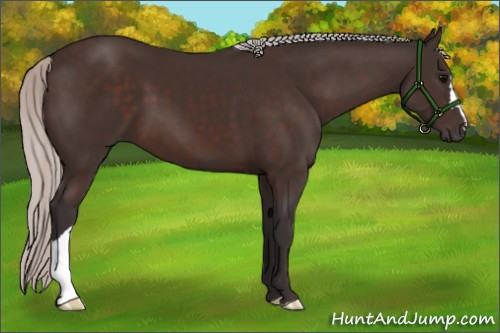 Horse Color:Silver Brown 