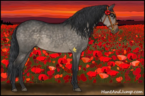 Horse Color:Brown Dun