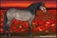 Horse Color:Brown Dun