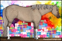 Horse Color:Silver Brown Dun
