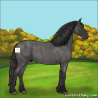 Horse Color:Smoky Blue Roan Sabino 
