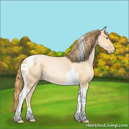 Horse Color:Buckskin Roan Pearl Tobiano 