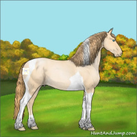 Horse Color:Buckskin Roan Pearl Tobiano 