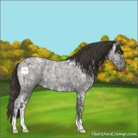 Horse Color:Smoky Blue Ice Roan