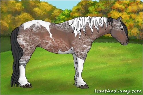 Horse Color:Brown Ice Tobiano