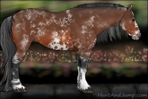 Horse Color:White Spotted Bay Frame 