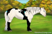 Horse Color:Palomino Pearl Dun Tobiano