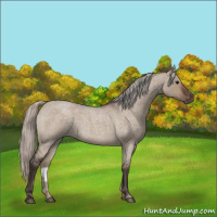 Horse Color:Silver Brown Roan Dun 