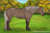 Horse Color:Silver Brown Dun 