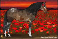 Horse Color:Gray Brown Tobiano Rabicano  and Gray Brown Dun Tobiano 