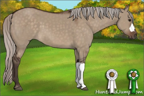 Horse Color:Silver Brown Dun 