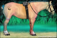 Horse Color:Silver Buckskin Dun Sabino