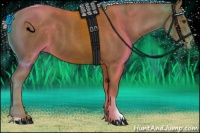 Horse Color:Chocolate Palomino Tobiano 